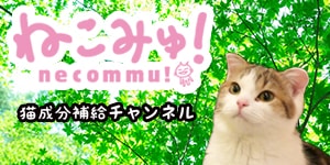 ねこみゅ！猫専門チャンネル